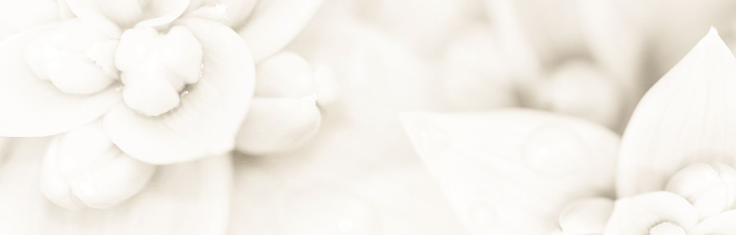 Joy in Christ Consciousness